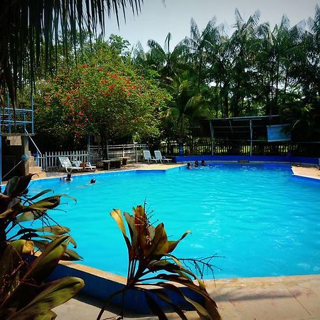 Villa Hermosa De Tambopata Casa Hospedaje & Hostel بويرتو مالدونادو المظهر الخارجي الصورة