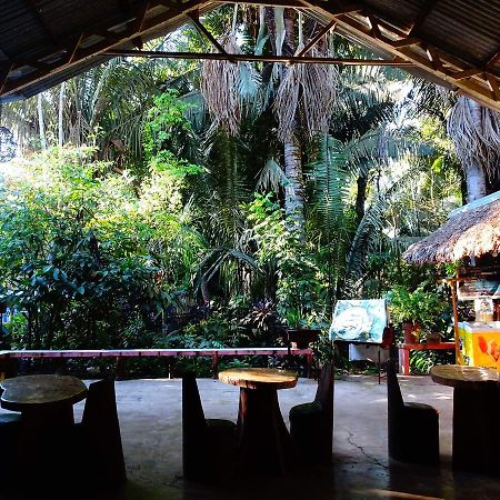 Villa Hermosa De Tambopata Casa Hospedaje & Hostel بويرتو مالدونادو المظهر الخارجي الصورة