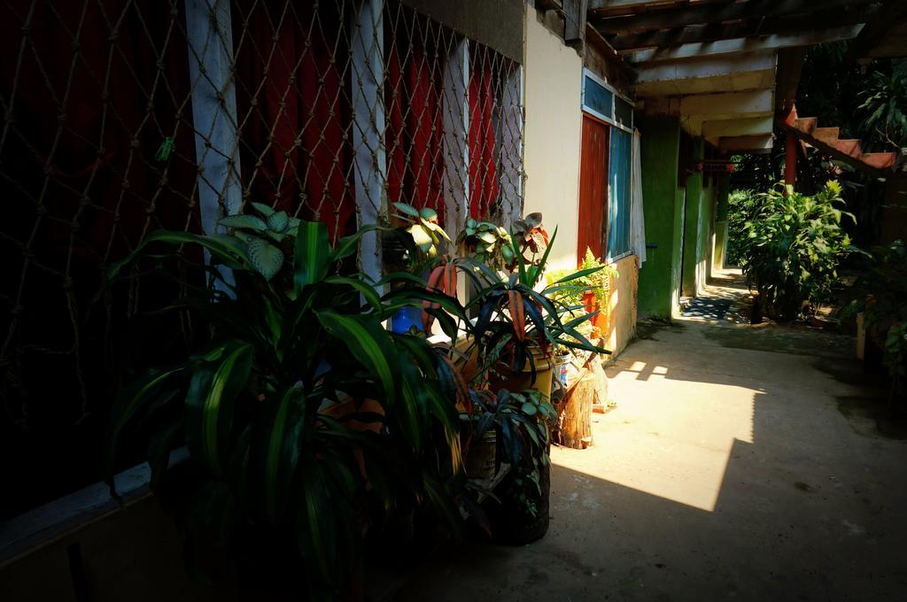 Villa Hermosa De Tambopata Casa Hospedaje & Hostel بويرتو مالدونادو المظهر الخارجي الصورة