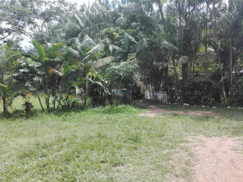 Villa Hermosa De Tambopata Casa Hospedaje & Hostel بويرتو مالدونادو المظهر الخارجي الصورة