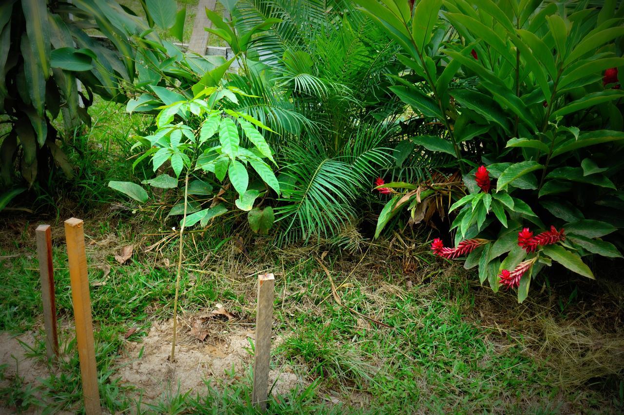 Villa Hermosa De Tambopata Casa Hospedaje & Hostel بويرتو مالدونادو المظهر الخارجي الصورة